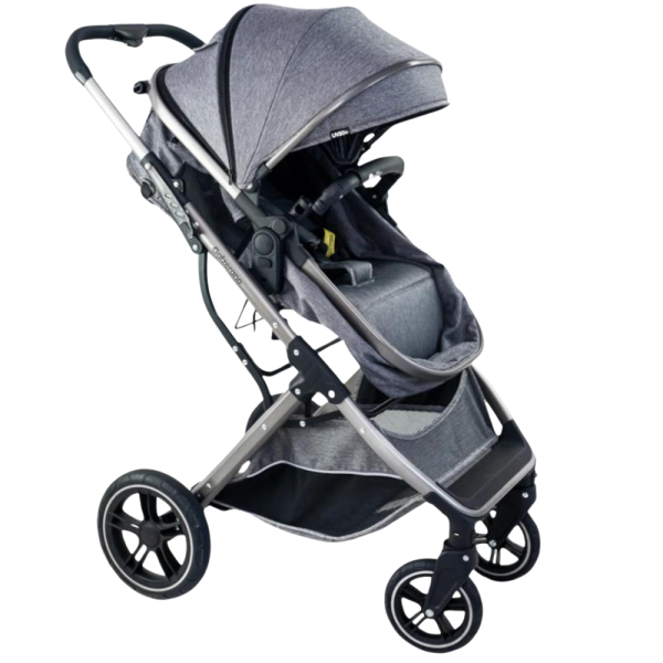 Kit Carrinho de Bebê Zoe - Galzerano Cinza com Prata - Image 3